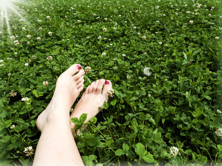 beautiful slim female feet on green grassの写真素材