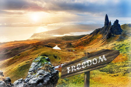 freedom sign