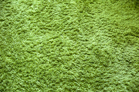 Green Grass Texture