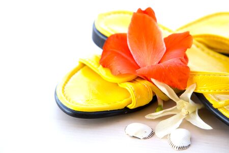 summer yellow slippersの写真素材