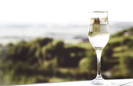 White grapes and one glass of white wine in the vineyardの写真素材