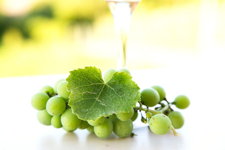 White grapes and one glass of white wine in the vineyard