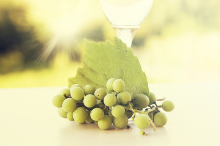White grapes and one glass of white wine in the vineyardの写真素材