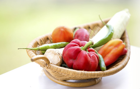 Fresh organic vegetables. Autumn vegetables. Harvesting. Ingredients for the saladの写真素材