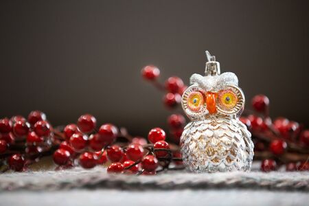 Christmas owl decoration, winter backgroundの写真素材