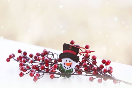 Cute snowmanの写真素材