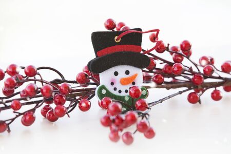 Cute snowmanの写真素材