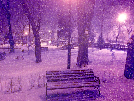 Night Winter city Parkの写真素材