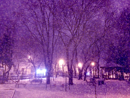 Night Winter city Parkの写真素材