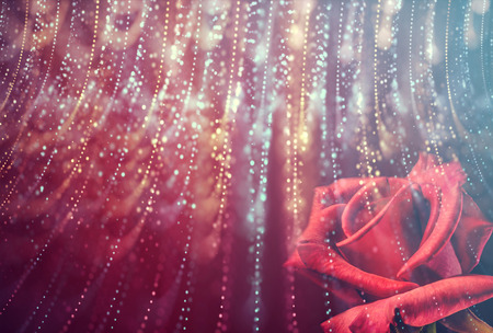 valentines backgroundの写真素材