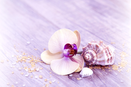 Summer holiday conceptの写真素材