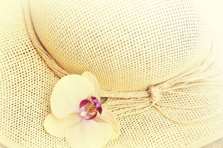 Summer vacation concept with straw hatの写真素材