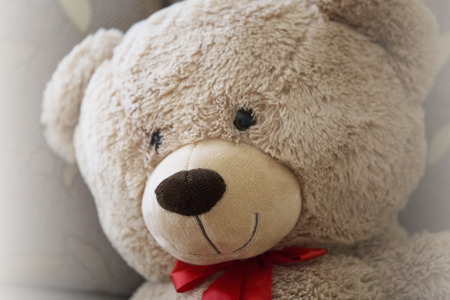 Teddy bear toyの写真素材