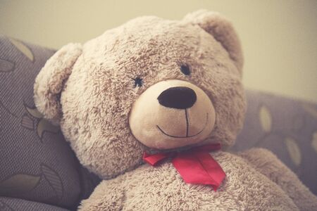 Teddy bear toyの写真素材