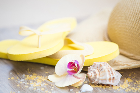 Summer beach concept backgroundの写真素材