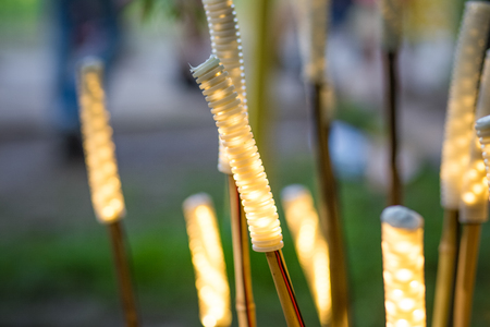 Modern garden lights  bamboo sticksの写真素材
