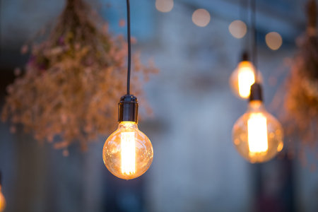 Rustic light bulb garden lights