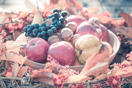 Autumn red grapes