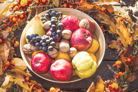 Autumn red grapesの写真素材