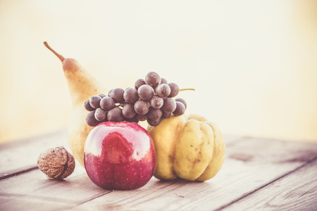 Autumn red grapesの写真素材