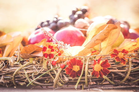 Autumn wreath decorationの写真素材