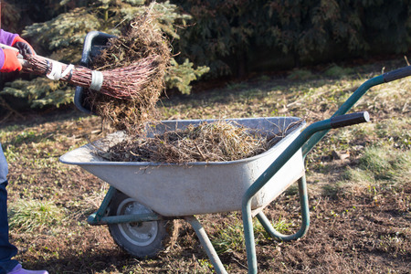 Elderly woman spring cleaning the gardenの写真素材