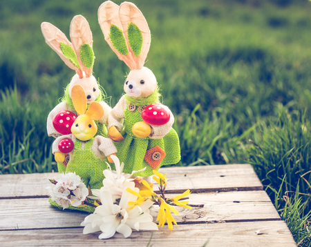 Easter Bunny in the grassの写真素材