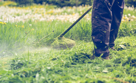 Cutting grass with a professional grass trimmer