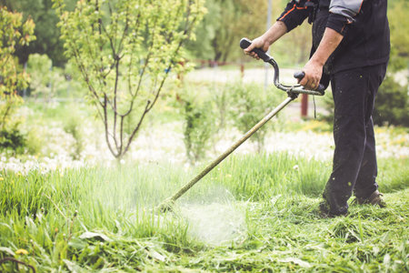 Cutting grass with a professional grass trimmer