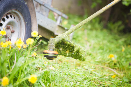 Cutting grass with a professional grass trimmer