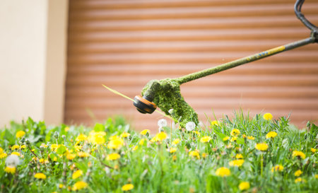 Cutting grass with a professional grass trimmer