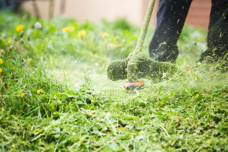 Cutting grass with a professional grass trimmer