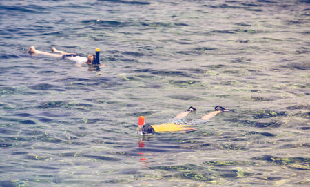 Snorkeling people in the sea