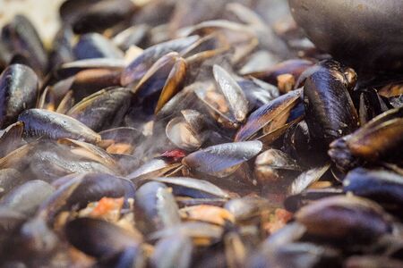 Fresh mussels at grill pan. Cozze ricettaの写真素材