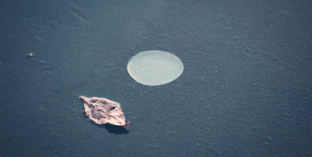 Abstract winter background with leaf on ice