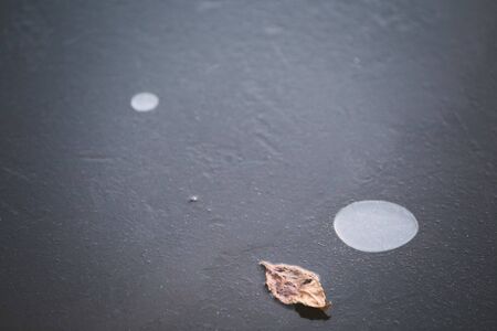 Abstract winter background with leaf on iceの写真素材