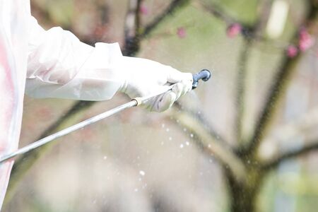 Coronavirus disinfection. Worker in hazmat making disinfection in public parkの写真素材