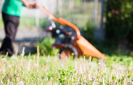 Professional lawn mower cutting grassの写真素材
