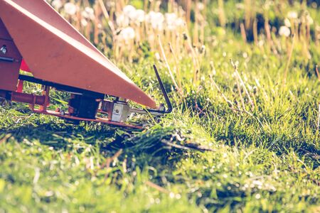 Professional lawn mower cutting grassの写真素材