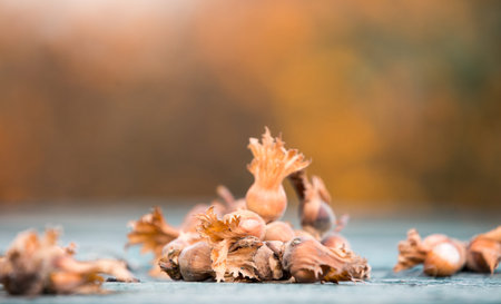 Hazelnuts on blue wooden background
