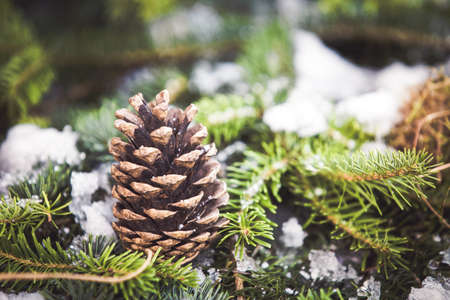Christmas decoration background.  Happy winter holidaysの写真素材