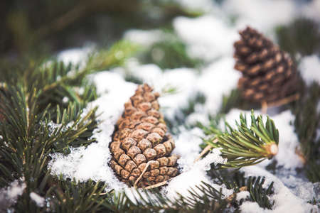 Christmas decoration background.  Happy winter holidaysの写真素材