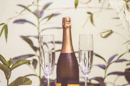 Happy new year champagne glasses backgroundの写真素材