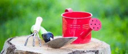 Planting tools for spring vegetable gardenの写真素材