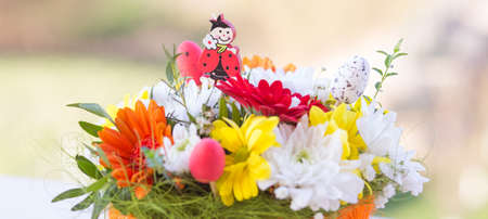 Fresh spring flowers horizontal backgroundの写真素材
