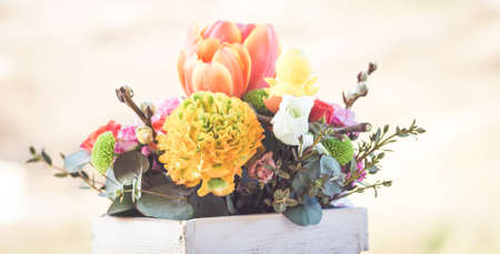 Fresh spring flowers horizontal backgroundの写真素材