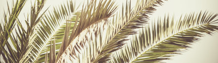Retro palm tree summer background