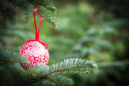 Christmas decoration blurred bokeh backgroundの写真素材