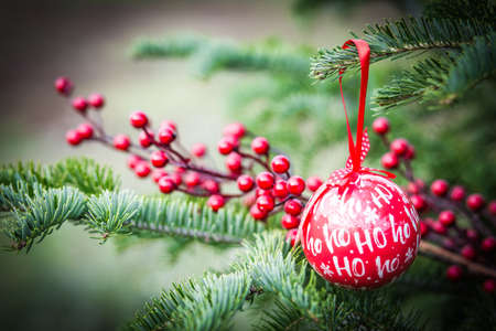 Christmas tree decorations winter backgroundの写真素材