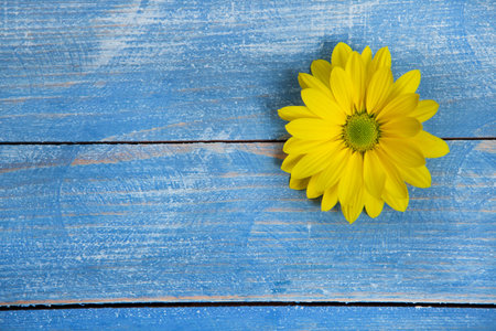 Beautiful flower on grunge wooden table.copy space.の写真素材